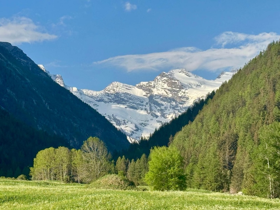 Gran Paradiso foto